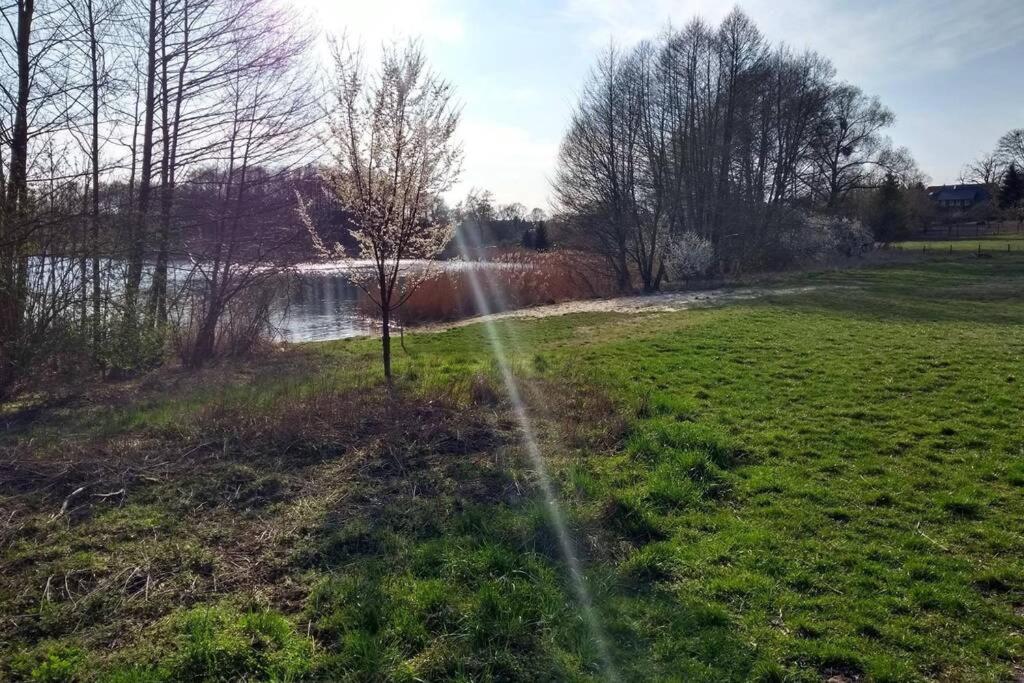In Peetzig Am